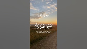 فاصبر إن وعد الله حق    القرآن الكريم شاشه سوداء    الشيخ عبد الباسط عبد الصمد