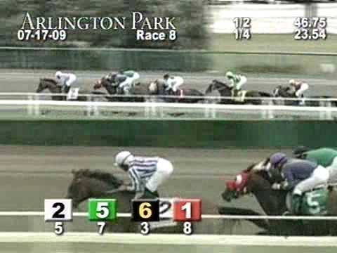 ARLINGTON PARK, 2009-07-17, Race 8