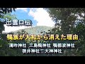 鴨族が大和から消えた理由　出雲口伝　溝咋神社　鴨三島神社と大彦　狭井神社の初代祭祀は事代主の娘　父の事代主を祀った鴨都波神社