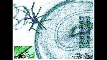 Software Failure - Genoma - Amiga AGA - 4K Intro