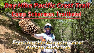 Come Experience a Day Hike in PCT from Camp Scherman