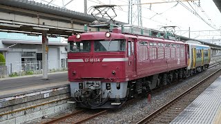 EF81 134+E130 105 栗橋駅 2024年4月18日