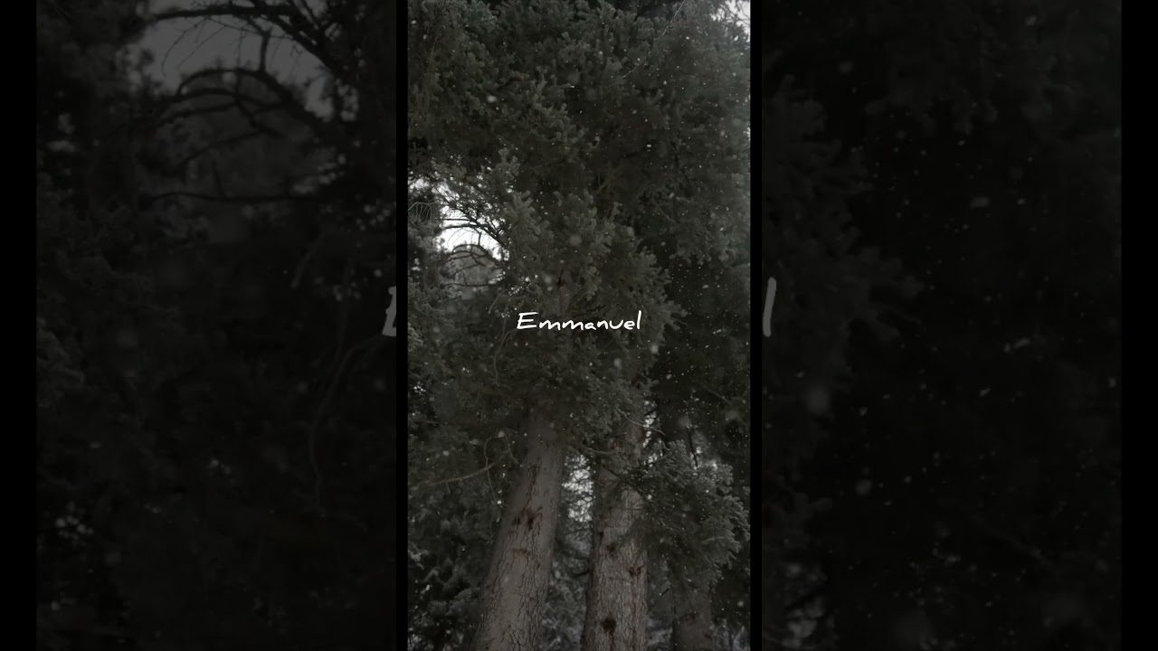 Emmanuel - The Word made flesh 