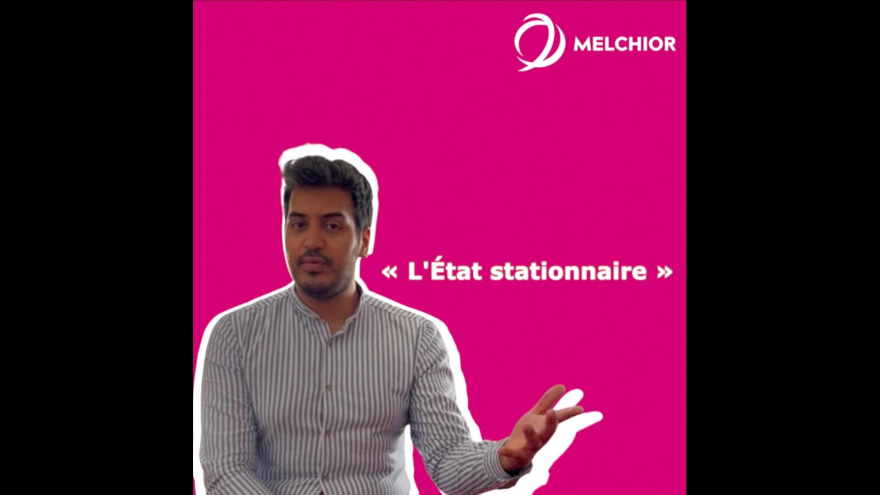 "Le dico vivant de l'éco" - l'état Stationnaire - 