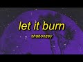 Shaboozey - Let It Burn (Lyrics) | grab the matches start a fire