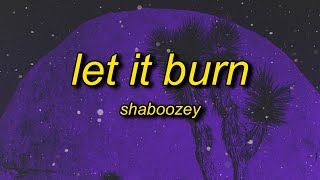 Shaboozey - Let It Burn (Lyrics) | grab the matches start a fire