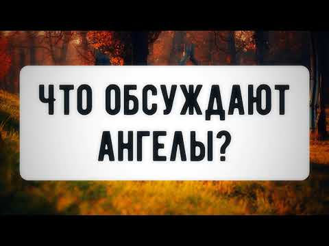 Что обсуждают ангелы? 03.09.2021