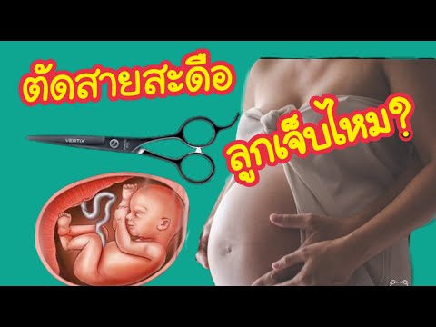 วีดีโอ: สายสะดือเชื่อมต่อกับทารกอย่างไร?