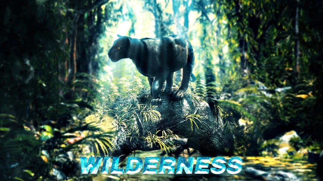 Amadea Music Productions - Anthem Of The Earth | Epic | Documentary | Emotional | Orchestral