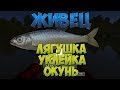 Русская Рыбалка 4: Живец: Лягушка, Уклейка, Окунь