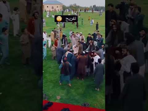 سبزه به ناز میایه