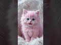 可愛いく歌う猫ちゃん #CAT #Catsong #catsinging#AIcat