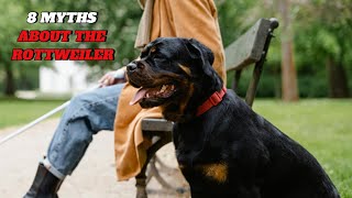 8 MYTHS about the ROTTWEILER🐾❤️🐶