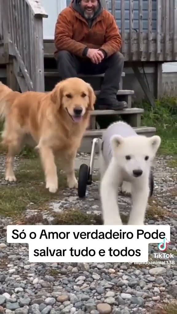 olhar que lindo família linda escute