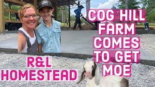 Cog Hill Farm comes to pick up Moe.  R& L Homestead comes to visit.