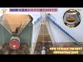 2025 年最高のネズミ捕りの作り方 / How to make the best mousetrap 2025
