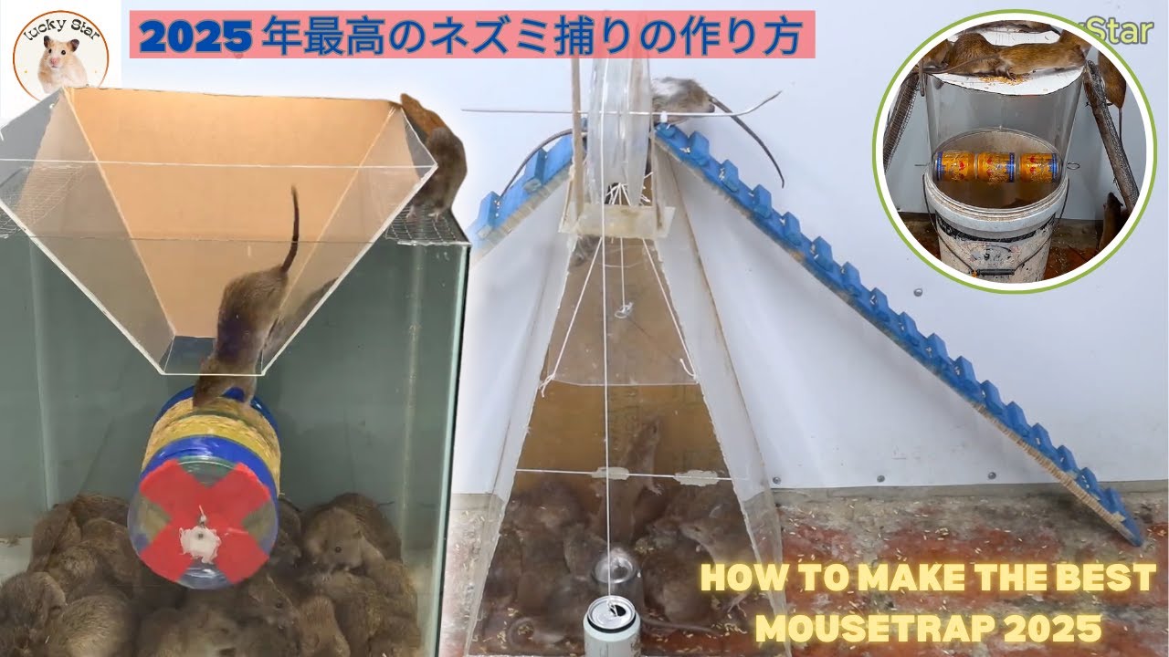2025 年最高のネズミ捕りの作り方 / How to make the best mousetrap 2025