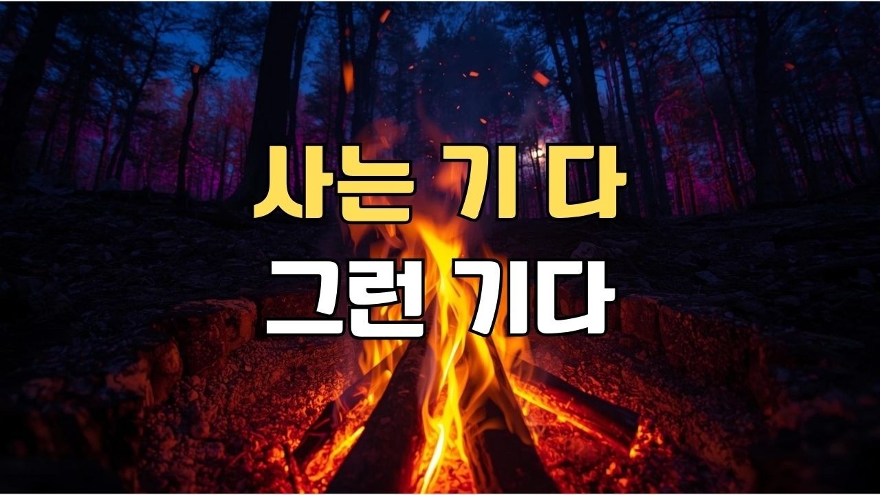 불멍한데이 | 참고 산 인생, 오늘은 불에 다 태운다 (신나는 인생 트로트)