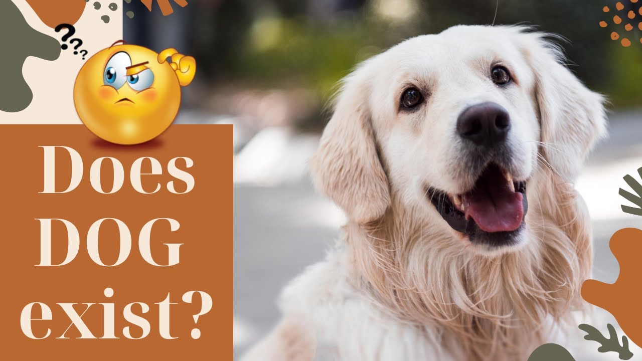 Does DOG Exist ? YouTube