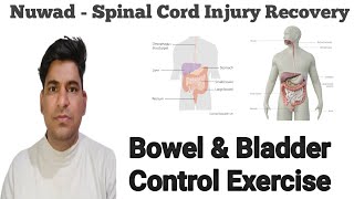 bowel and bladder control exercise in spinal cord injury #recovery #bowel #bladder #spinalcordinjury
