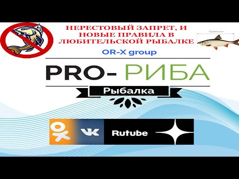 Pro-Риба | Нерестовый запрет, и новые правила в любительской рыбалке