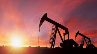 Crude oil sinks to seven month low amid trade fears