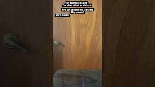 I think im Scared #funny #airsoftnation #airsofting