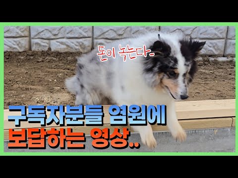 다 이때를 위해서 였습니다...