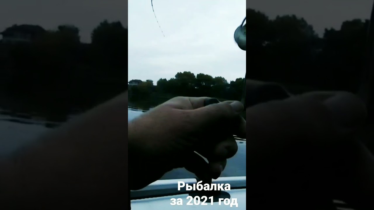 Поклевка на Фаворит Зандер?