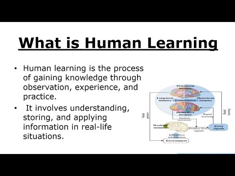 Humal Learning Human learning, types of human learning;234G1A05J3, -CAA Assignment ...