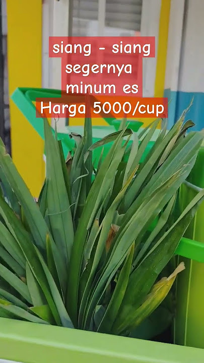 SIANG BEGINI ENAKNYA MINUM ES WAU SEGER BENER HARGA 5000 PER CUP#kuliner