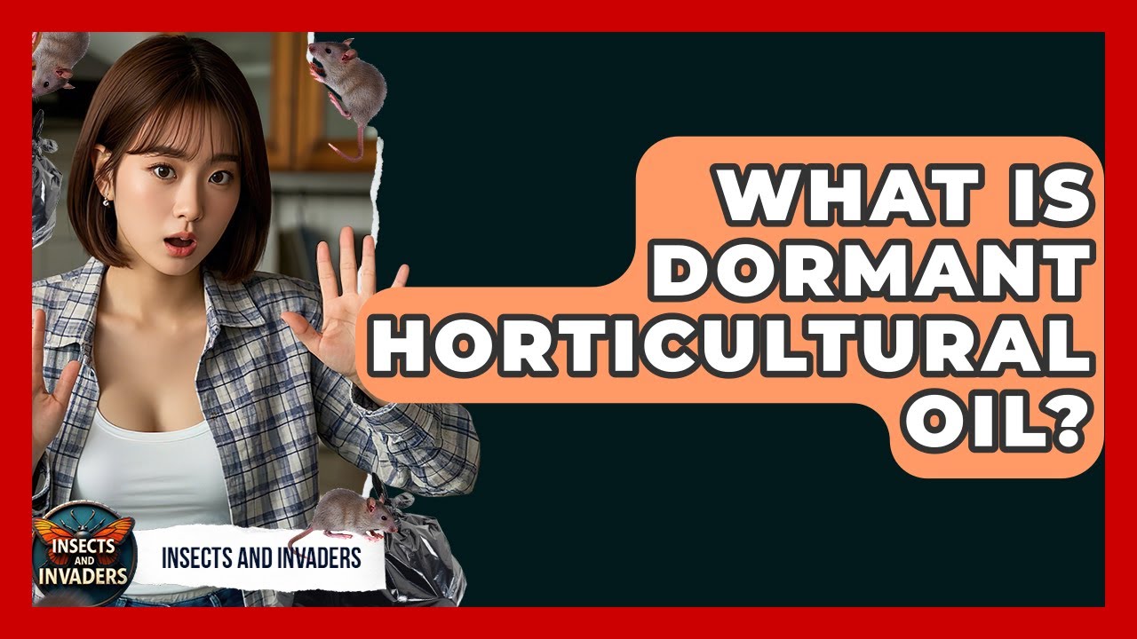 What Is Dormant Horticultural Oil? - Insects and Invaders