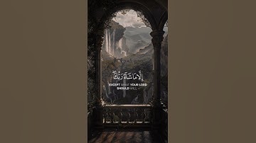 القران الكريم الشيخ ماهر المعيقلي #quran #المصحف