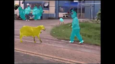 VGbrain semantic image segmentation