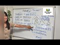 Japanese Verb Conjugation (Ru verbs / Group 2 verbs) | Part 1 