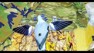 Motorlu Tahtalı mühresi