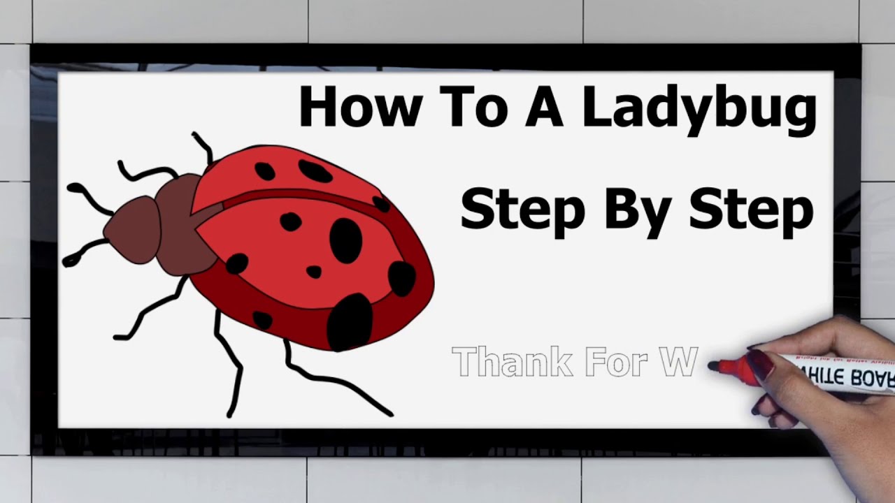 How To Draw A Ladybug (Step By Step Easy) - YouTube