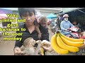 YoYo visited and give bananas to the poor monkey