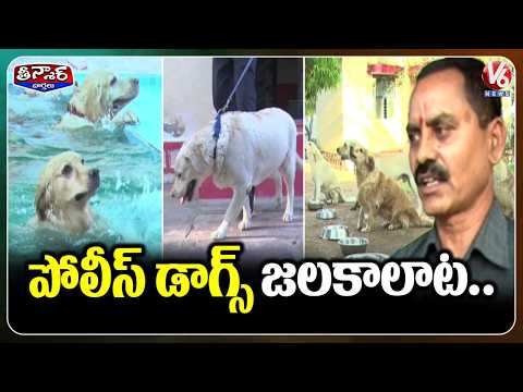 Police Dogs Enjoy Swimming To Escape Scorching Heatwave In Adilabad | V6 Teenmaar - V6NEWSTELUGU