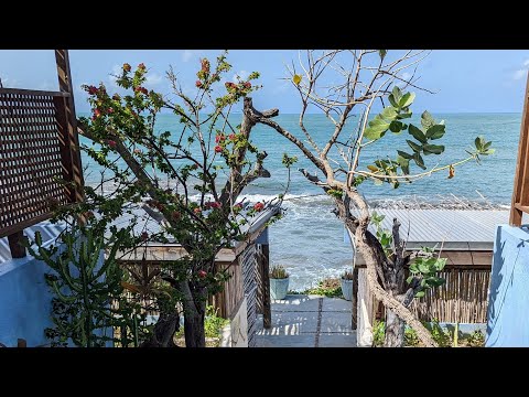 Driving and Eating in Jamaica 4 -Driftwood spa massage, Hold a Vibz banana coconut pancakes, West 77