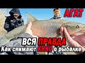 Рыбалка с АГАТОМ! Вся ПРАВДА как снимали КИНО о РЫБАЛКЕ.