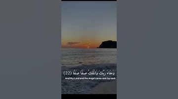 القارئ :نادر عزيز#اكسبلور