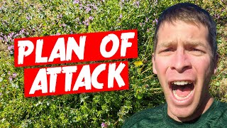 Celebrity Nightmare Ugly Lawn Full of Weeds with Multiple Grass Types Net Worth