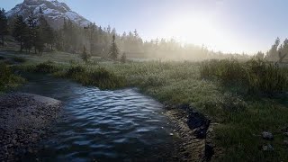 Walking Beautiful Pasture With Gentle Stream || ASMR Ambient Water Sounds Relaxing & Calming RDR2