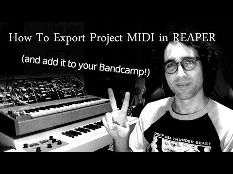 How To Export Project MIDI in REAPER (And add it as a bonus item on Bandcamp!)