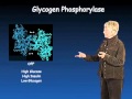 Susan Taylor (UCSD) Part 1: Protein Phosphorylation in Biology