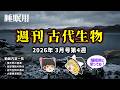 【睡眠用・ゆっくり解説】 週刊古代生物アーカイブ 2026年3月号第4週 【広告最初のみ・途中広告なし】
