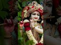 ek baar virnadavan aakar dekho#shyambhajan #jaishreekrishna #bhajnmarg #bhaktishorts #radheradhe