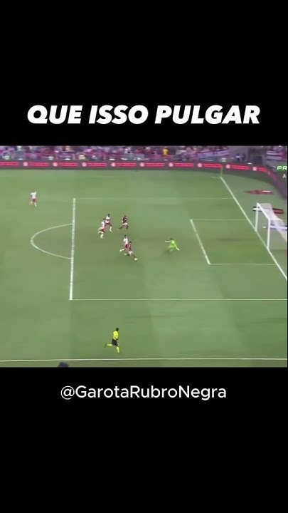 Garota Rubro-Negra 🚩🏴 (@Garota_RN_FLA) / X