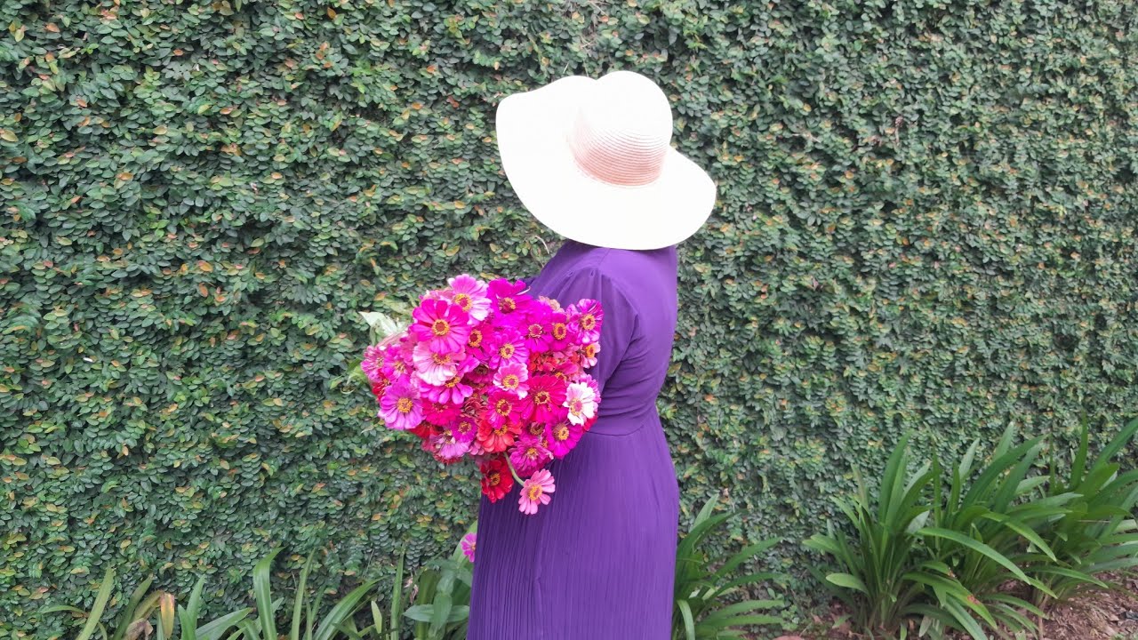 How I Grow Zinnias from Seed | California Giants & Pom Poms  Easy for Beginners!